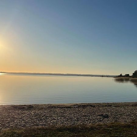 Maison Neuve 3 Etoiles Les Logis Du Lac 桑吉内 外观 照片
