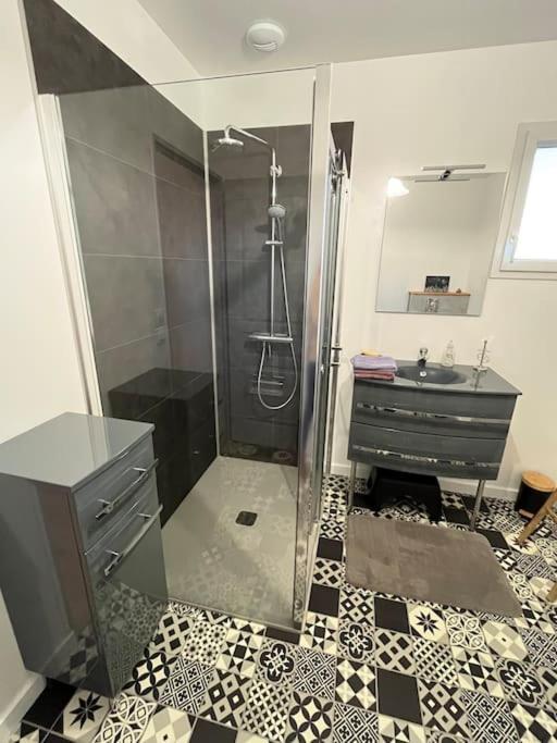 Maison Neuve 3 Etoiles Les Logis Du Lac 桑吉内 外观 照片
